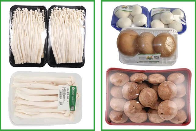 1676448247189038.png 样品.png